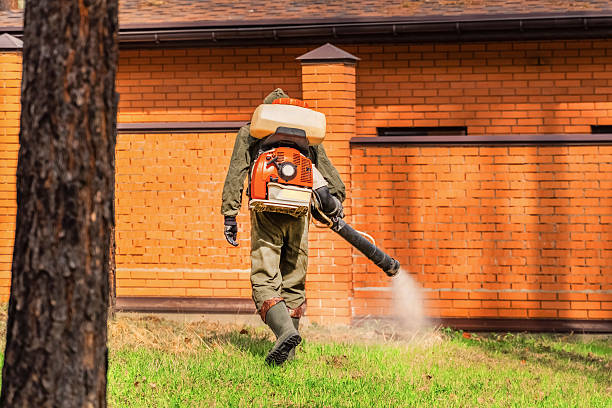 Bed Bug Clearance Verification and Documentation in Captain Cook